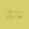 Hibiscus Yellow