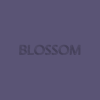 Blossom