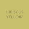 Hibiscus Yellow