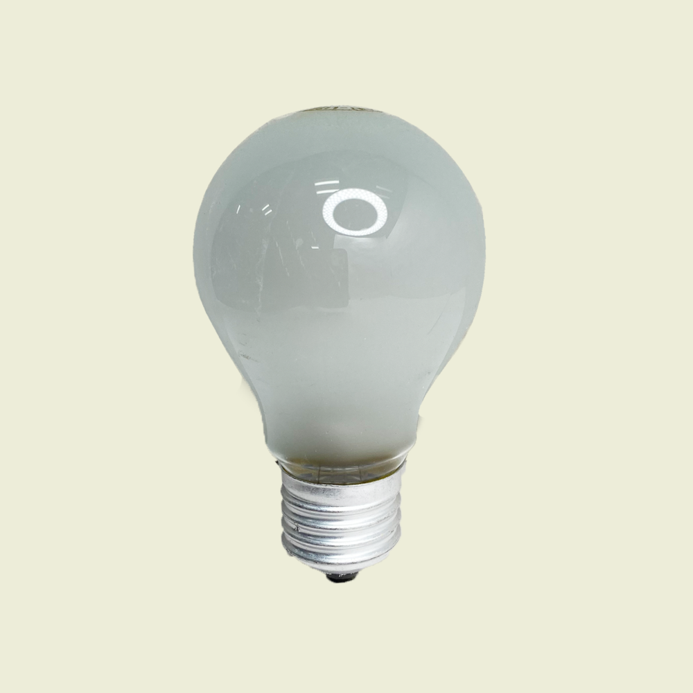 Radiant 100W Incandescent