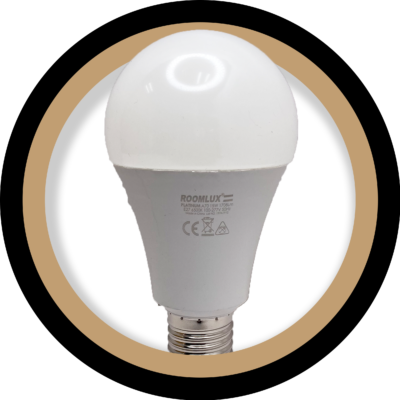 LED Bulbs