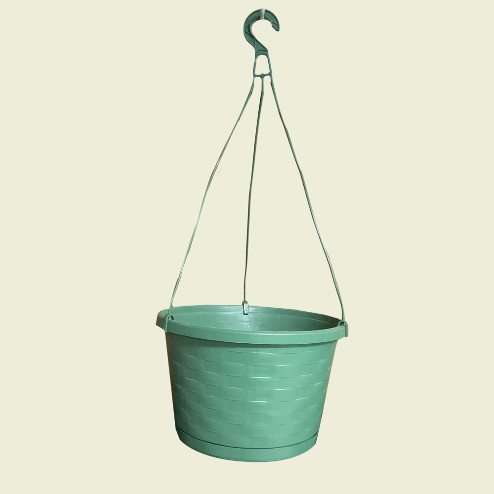 12" Weave Hanging Basket Trinidad