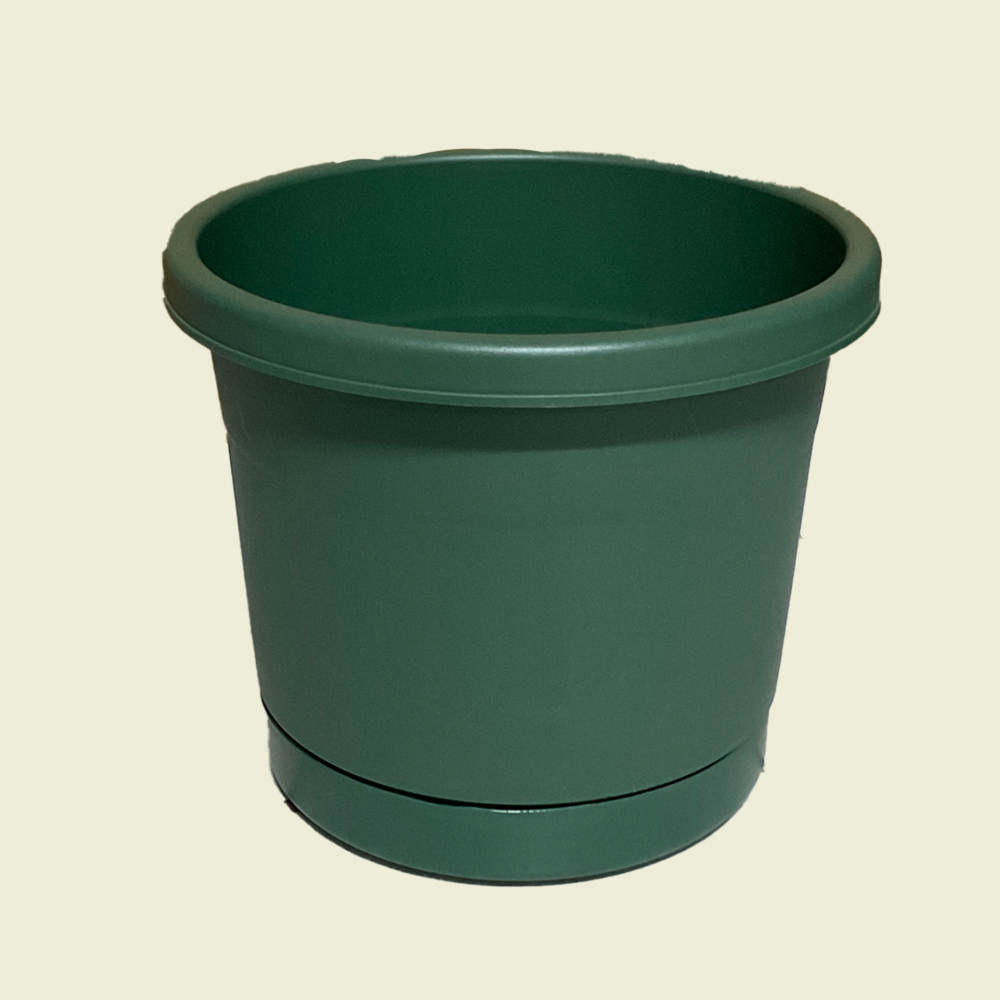 Patio Green Plant Pot Trinidad