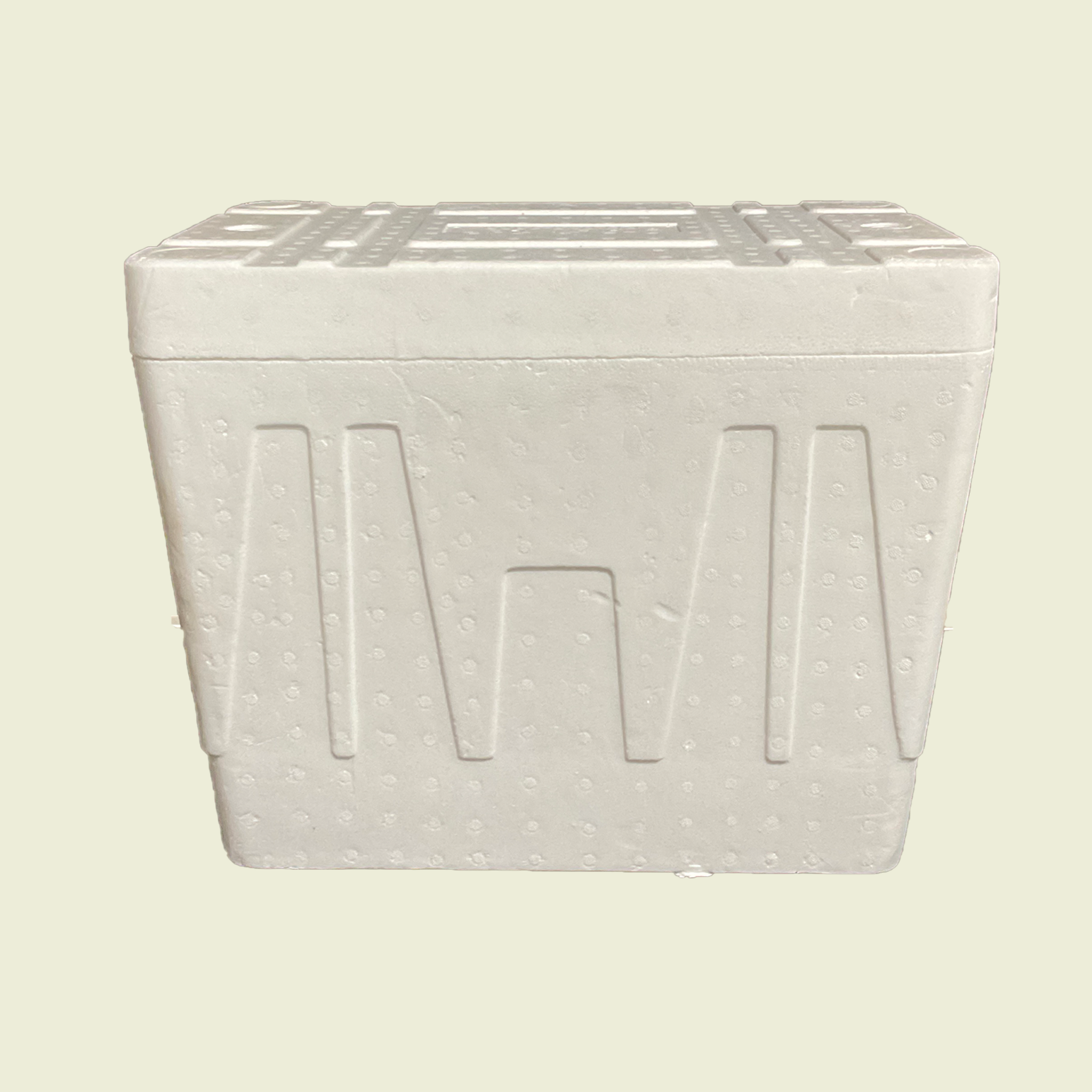 45lb-styrofoam-cooler-samaroo-s-materials-general-ltd