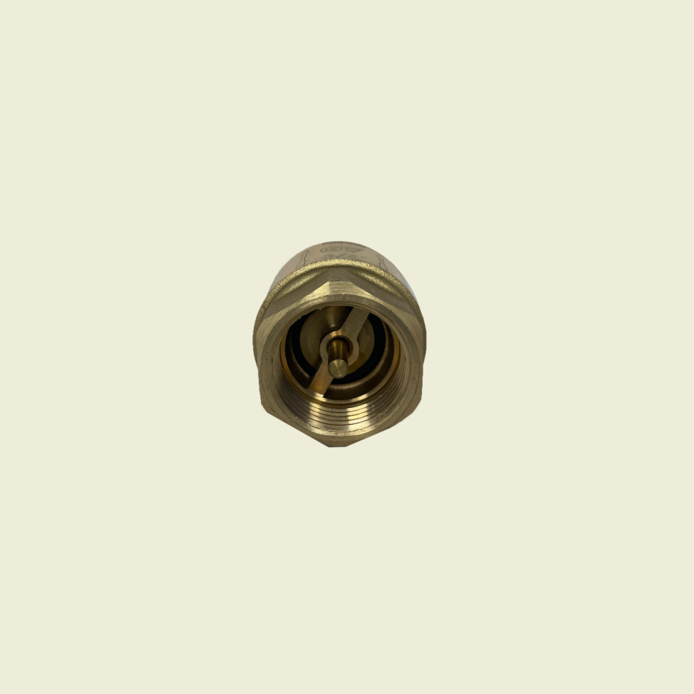 Genebre Brass Spring Check Valve 3/4" Trinidad