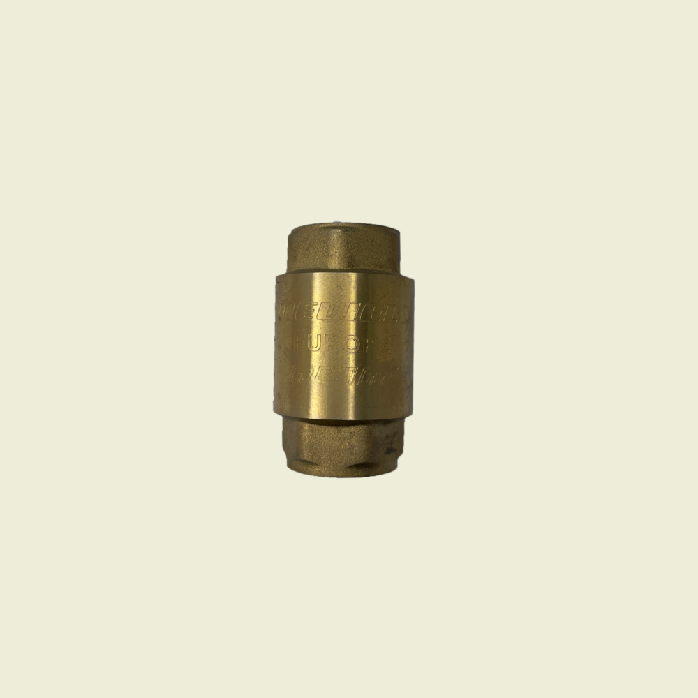 Newell Europa Brass Spring Check Valve 1/2" Trinidad