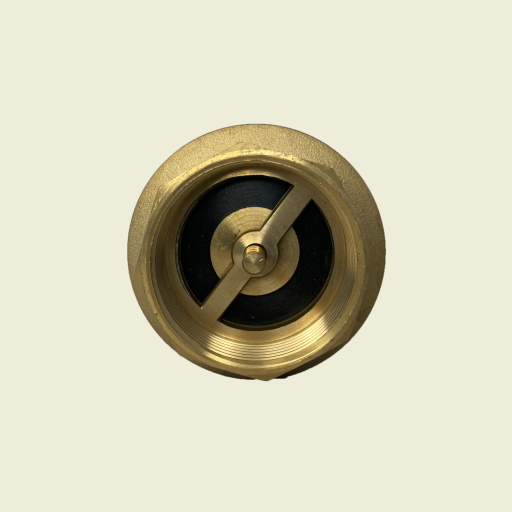 Pex Brass Spring Check Valve 2″ • Samaroo's Materials & General LTD