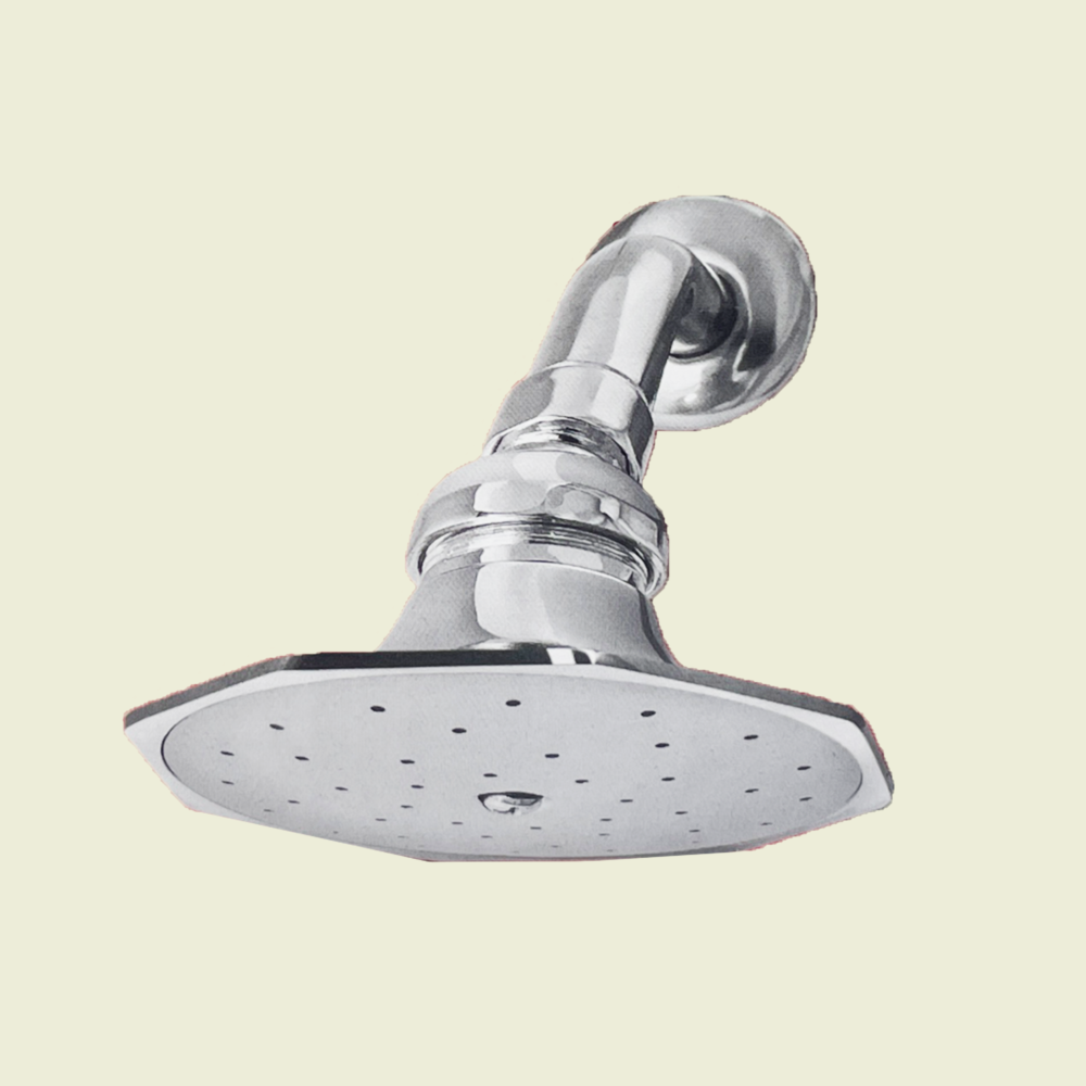 MA Octagonal 4" Shower Head and arm Trinidad