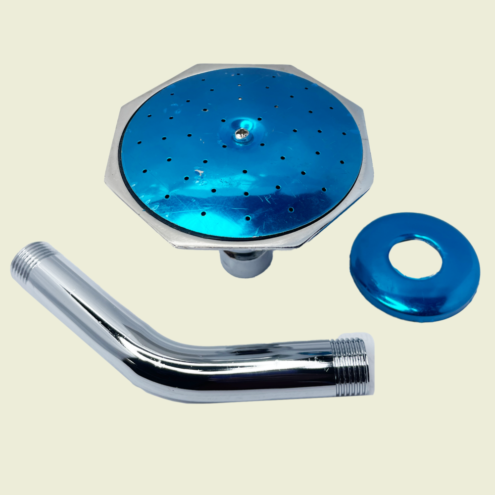 MA Octagonal 4" Shower Head and arm Trinidad