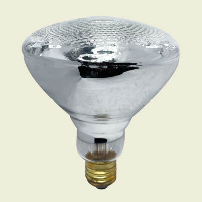 Indoor/Outdoor 150W Flood Lamp Trinidad