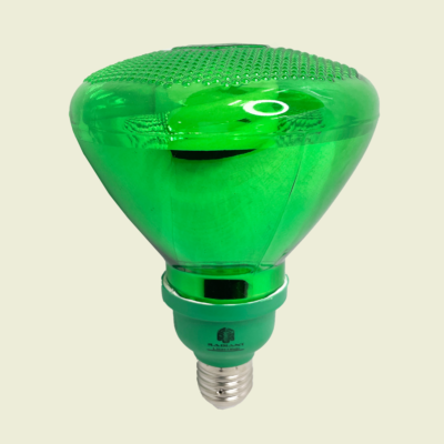 Radiant-Lite 25W Green Energy Saving Lamp Trinidad