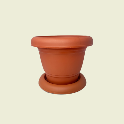 6" Terracotta-Style Planter with Saucer Trinidad