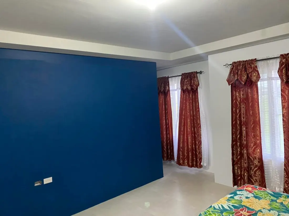 Navy feature wall in a bright living room