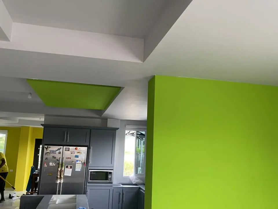 Kitchen with a lime green ceiling drop and grey cabinets