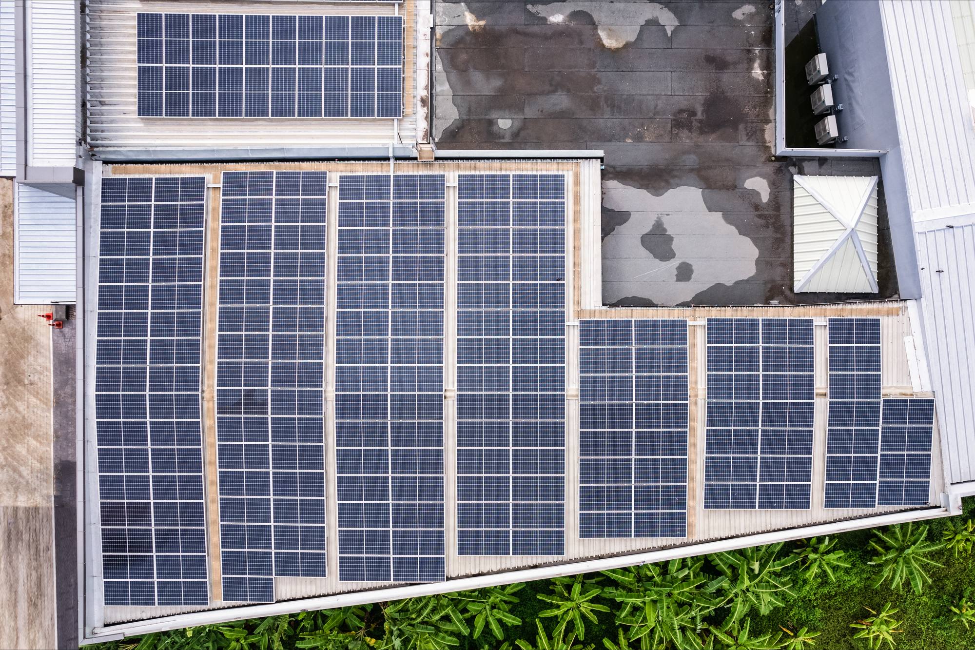 Aerial view of a rooftop solar array with tropical vegetation at the edge of the frame